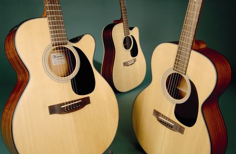 GIT272_details_takamine1.jpg